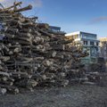 ФОТО | У пляжа Каларанд вырубили деревья. Там начнут строить фешенебельный район