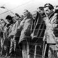 Rahvusarhiivi uuring: Soome SS-vabatahtlikud osalesid „väga tõenäoliselt” juutide, tsiviilisikute ja sõjavangide tapmises