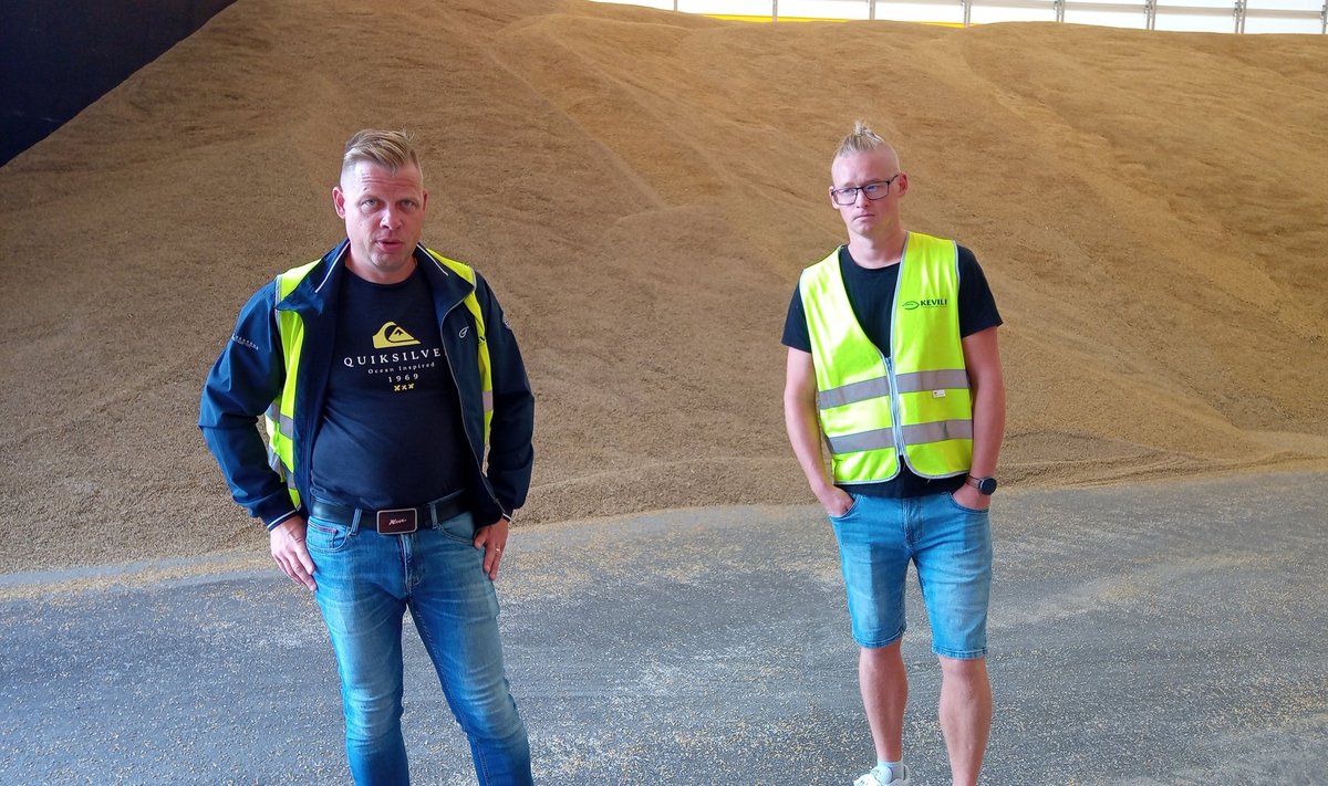 Kevili juhatuse esimees Hannes Prits (vasakul) ja Roodevälja terminali juhataja Kristjan Sakk kinnitavad, et terminali vastuvõtuvõime on piisav, et selle värava taha ka kõige kiiremal koristusperioodil veokitest järjekorda ei moodustu.