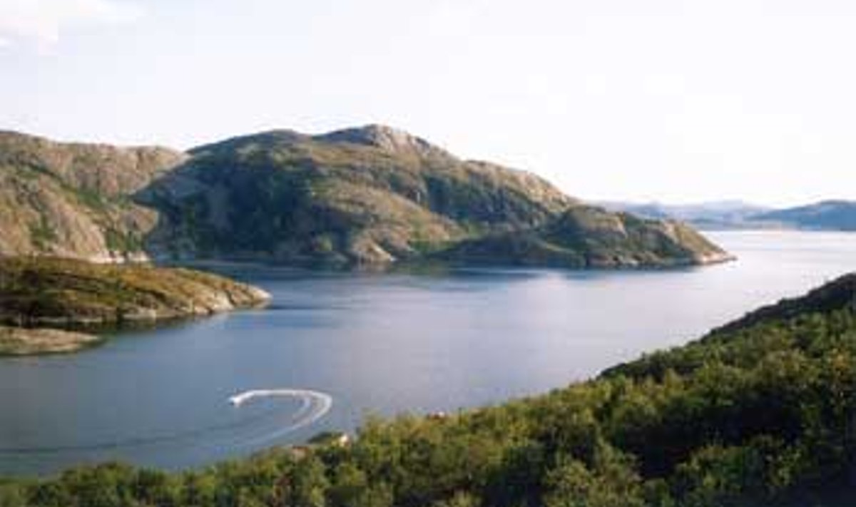 PÕHJA LOODUS: Fjordid vahelduvad kaljudega. Imre siil