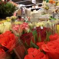 Maxima: в Женский день продается почти миллион тюльпанов и роз