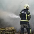 Võrus puhkenud tulekahjus hukkusid kaks kassi, poiss ja koer pääsesid eluga