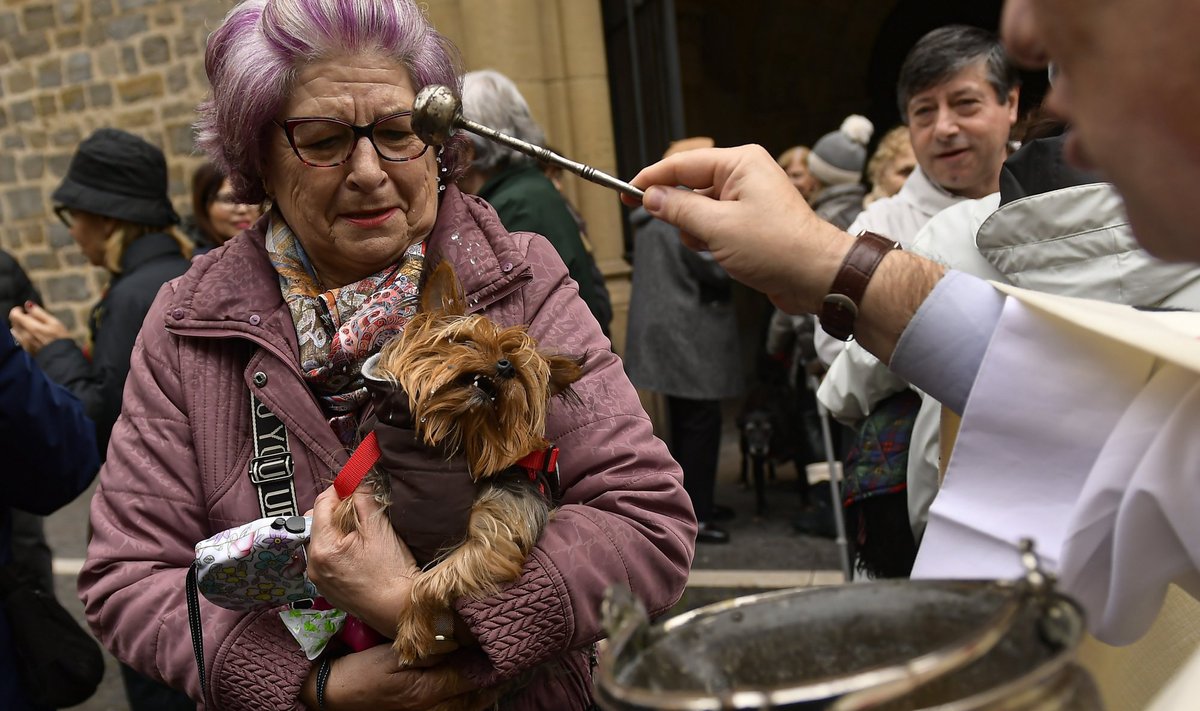 Lemmikloomade õnnistamine Hispaanias