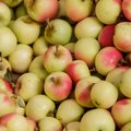 Vaata üle hoiule pandud õunad, et neil ei leviks tervist kahjustavaid haigusi! 