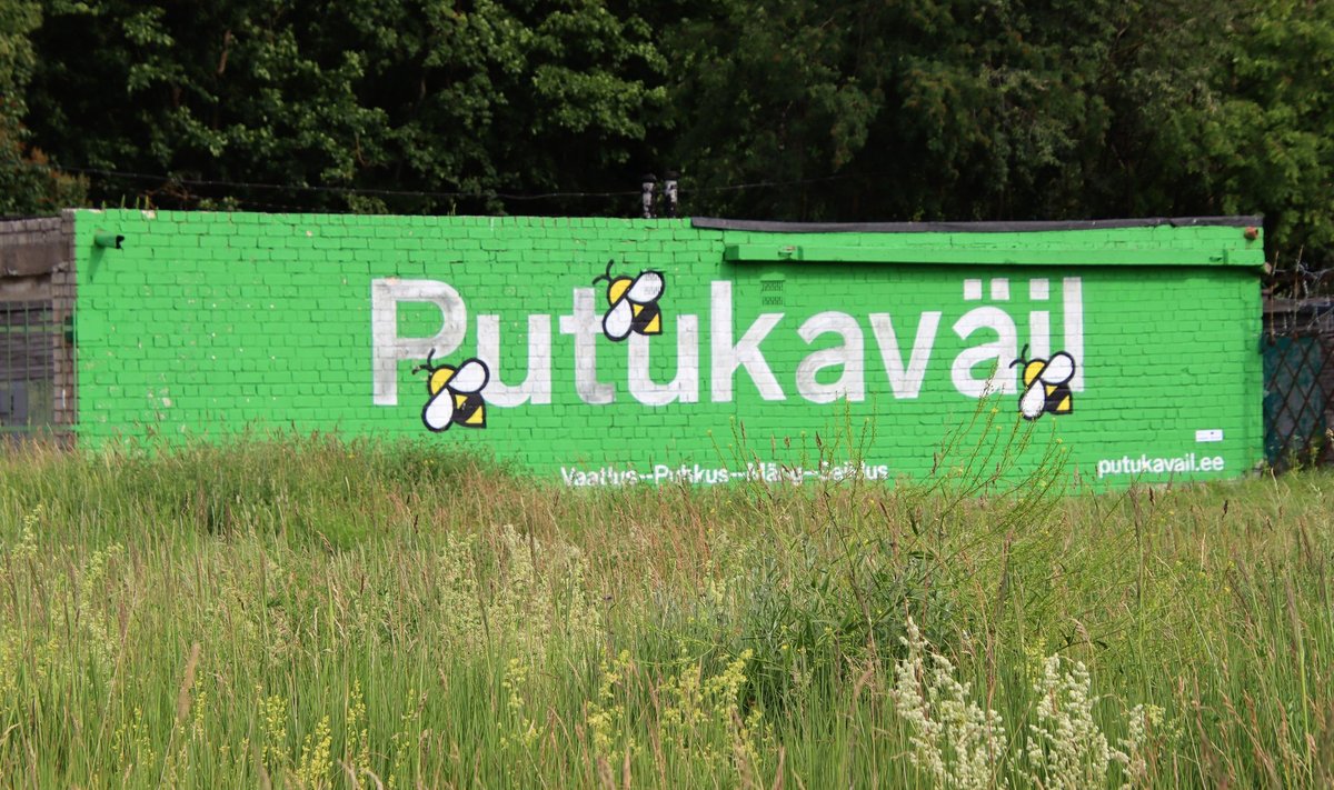 Putukaväil