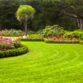 НА ЗАМЕТКУ | 9 советов о том, как сделать газон идеальным