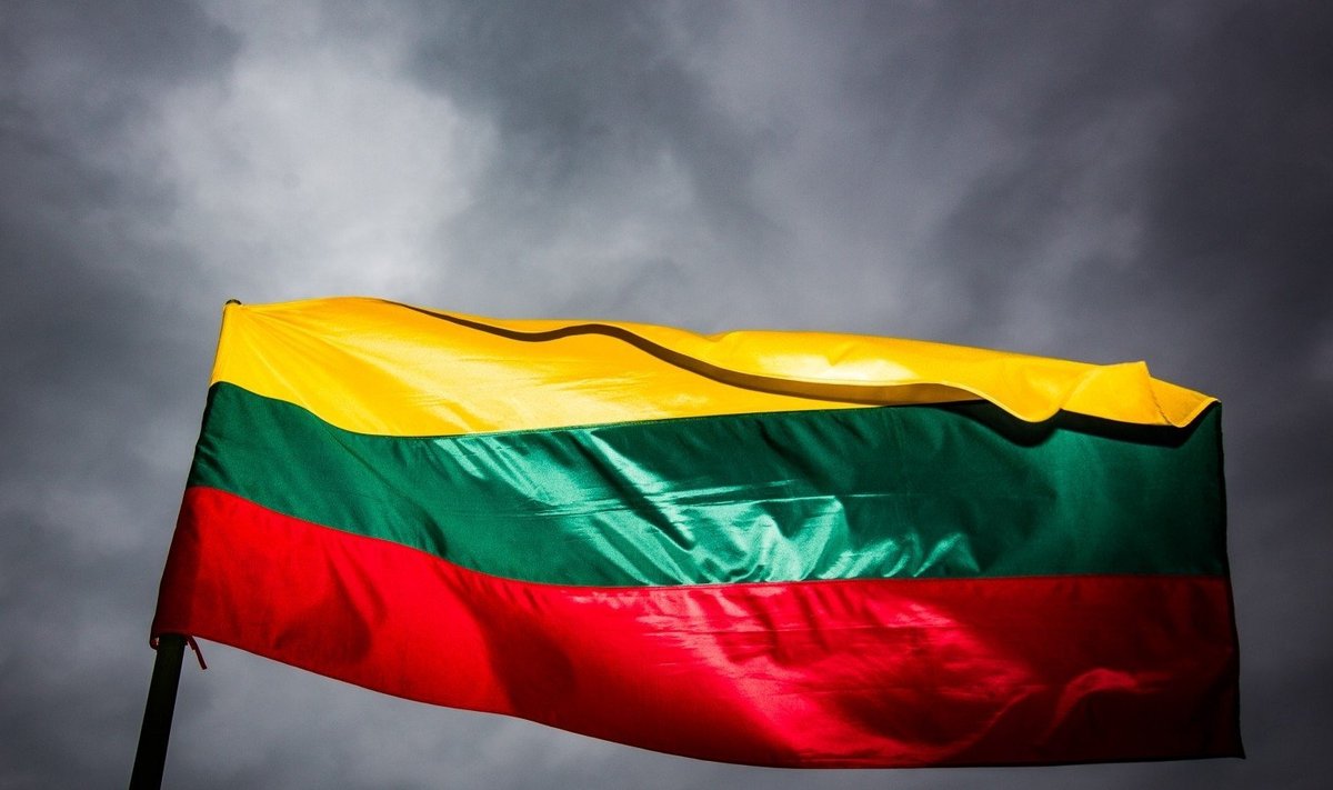 Литовский государственный флаг
