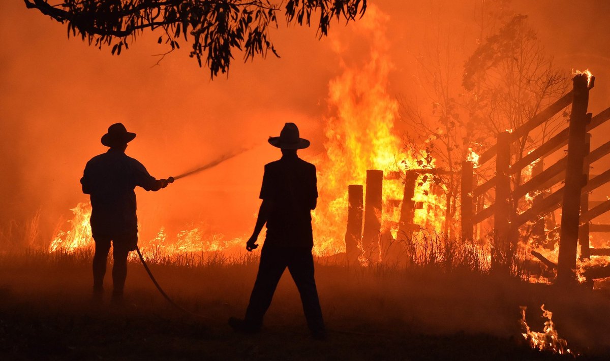 Ei mingit rallit. Austraalias möllavad hiiglaslikud tulekahjud.