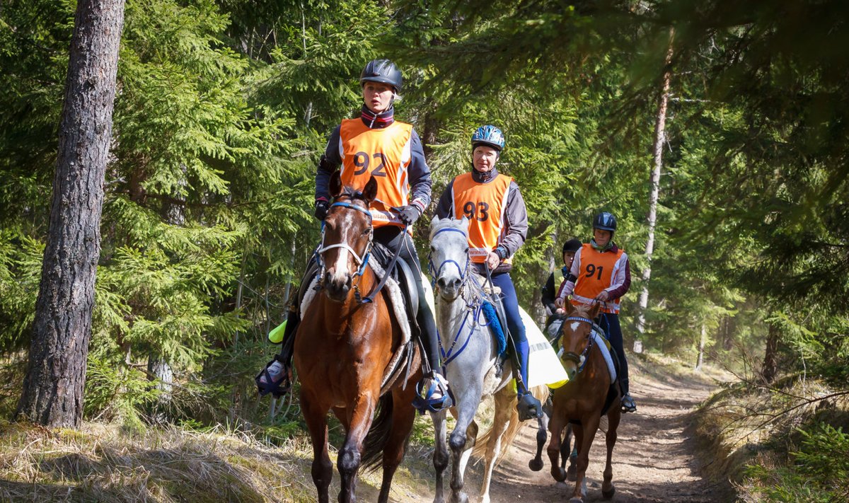 Põhjamaade parimad ratsanikud tulevad Kõrvemaale