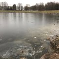 Жители Ыйсмяэ, будьте начеку! Опасно тонкий лед привлекает детей на пруд