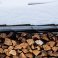 Отопление древесиной – одновременно самое дорогое и самое выгодное отопительное решение