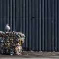 Исследование: эстоноземельцы хотят сортировать отходы, но это слишком сложно
