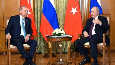 Путин и Эрдоган не договорились в Сочи о возобновлении зерновой сделки