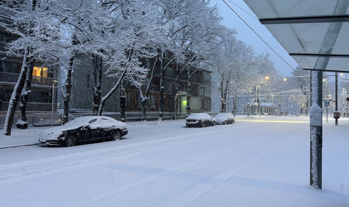 Апрельский снег в Таллинне.