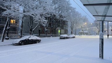 Ночью в Таллинне выпал снег. Этот снегопад станет первым пробным камнем для столичной мэрии, обещавшей отличную коммунальную услугу