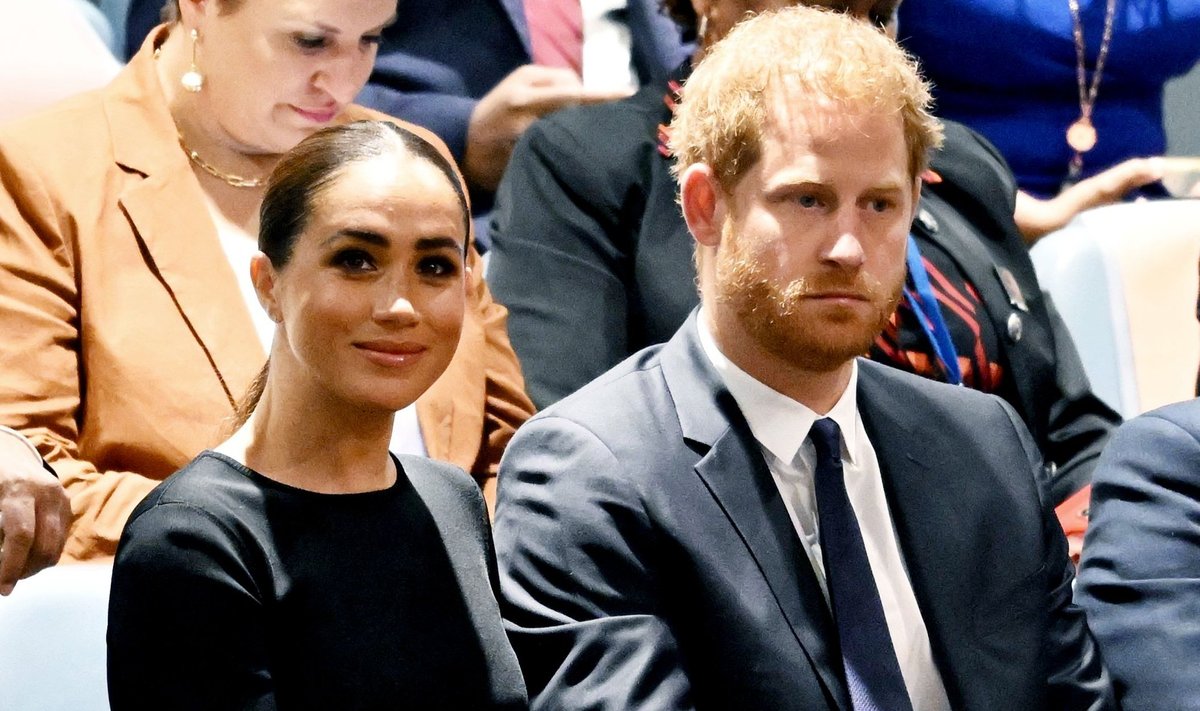 Harry Markle