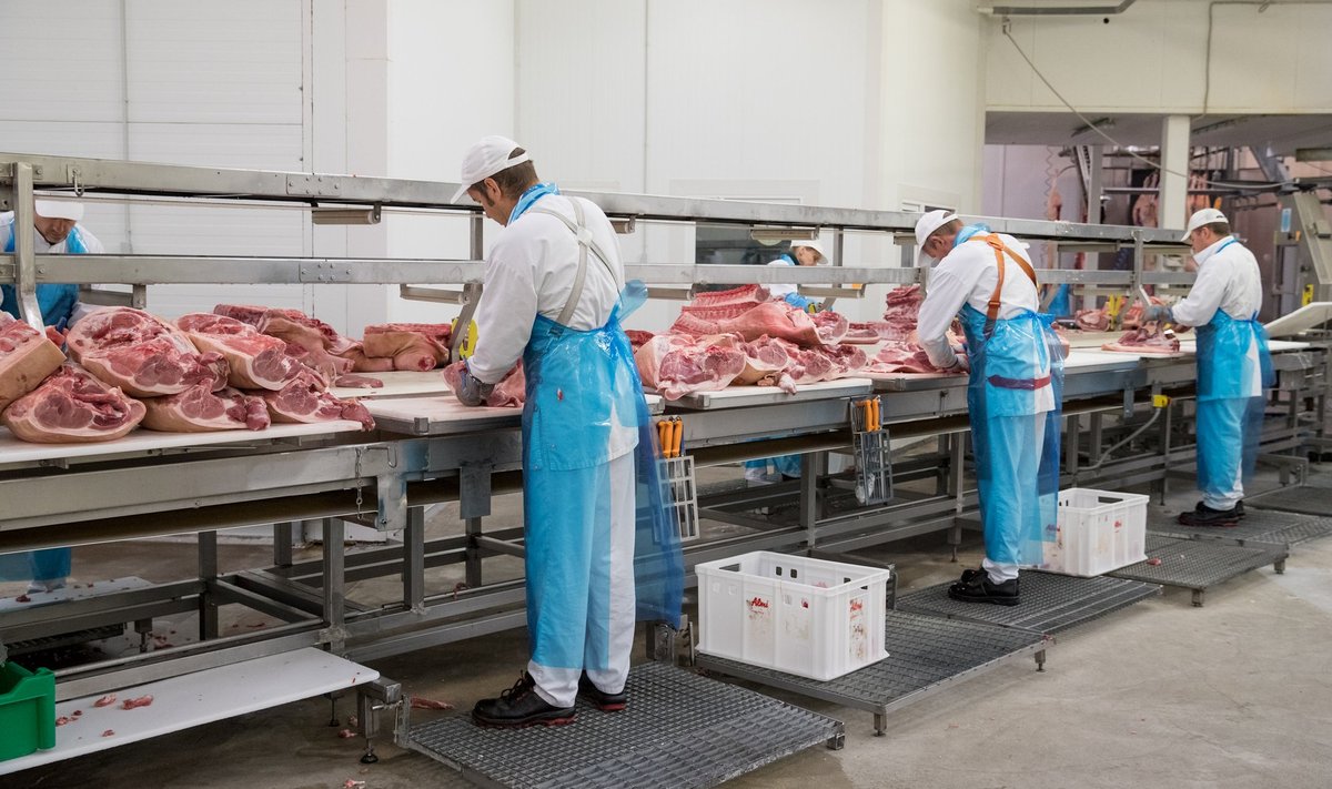 На Сааремааском мясокомбинате из-за санации предприятия сократят 69 работников из 137.