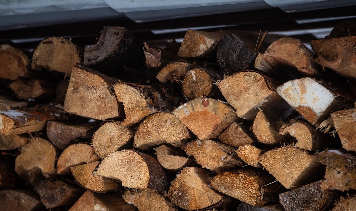  Kuiva küttepuu hind konteinerites ning võrgus oleva kaminapuu hind on kuni kaks korda toore puu omast kõrgem. 