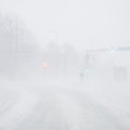 ФОТО | Ничего не видно! В Таллинне бушует снежный шторм
