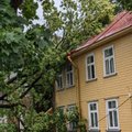 VIDEOD, FOTOD ja KAART | Lõuna-Eestis möllas äikesetorm, mis murdis puid ja tekitas elektrikatkestusi