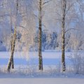 Põhja-Soomes löödi selle talve külmarekord: -39,5 kraadi