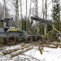 Eesti metsades kuulutati välja erakorraline olukord: maapind on liiga märg, et puitu välja vedada