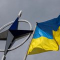 Делегация НАТО в Киеве: Украина будет членом альянса