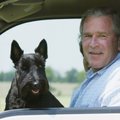 PALJU ÕNNE! George W. Bush sai esmakordselt vanaisaks