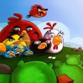 "Angry Birdsi" filmi peaosalised on välja valitud