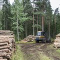Raiemaht Soomes on vähenenud, süsinikusidumise suurenemist pole siiski täheldatud