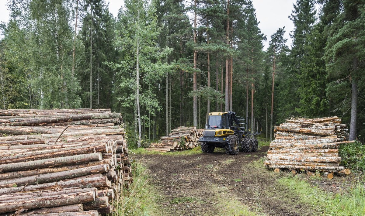 Metsamajandus moodustab 18% Soome välismajandusest.
