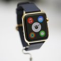 Apple teenis just metsiku koguse raha ja teatas nutikella Watch ilmumisaja (hilisem kui arvatud)