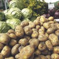 Kapsas, kartul ja porgand on võrreldes mullusega palju odavamad