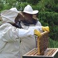 Igaüks võib olla mesinik: Eesti esimene mesinduse hobikeskus aitab alaga odavamalt alustada
