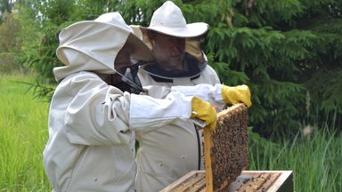 Igaüks võib olla mesinik: Eesti esimene mesinduse hobikeskus aitab alaga odavamalt alustada