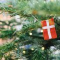 В Дании одиноким людям помогут найти компанию на Рождество