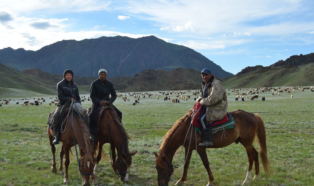 Kasahhi nomaadid oma lambakarjaga