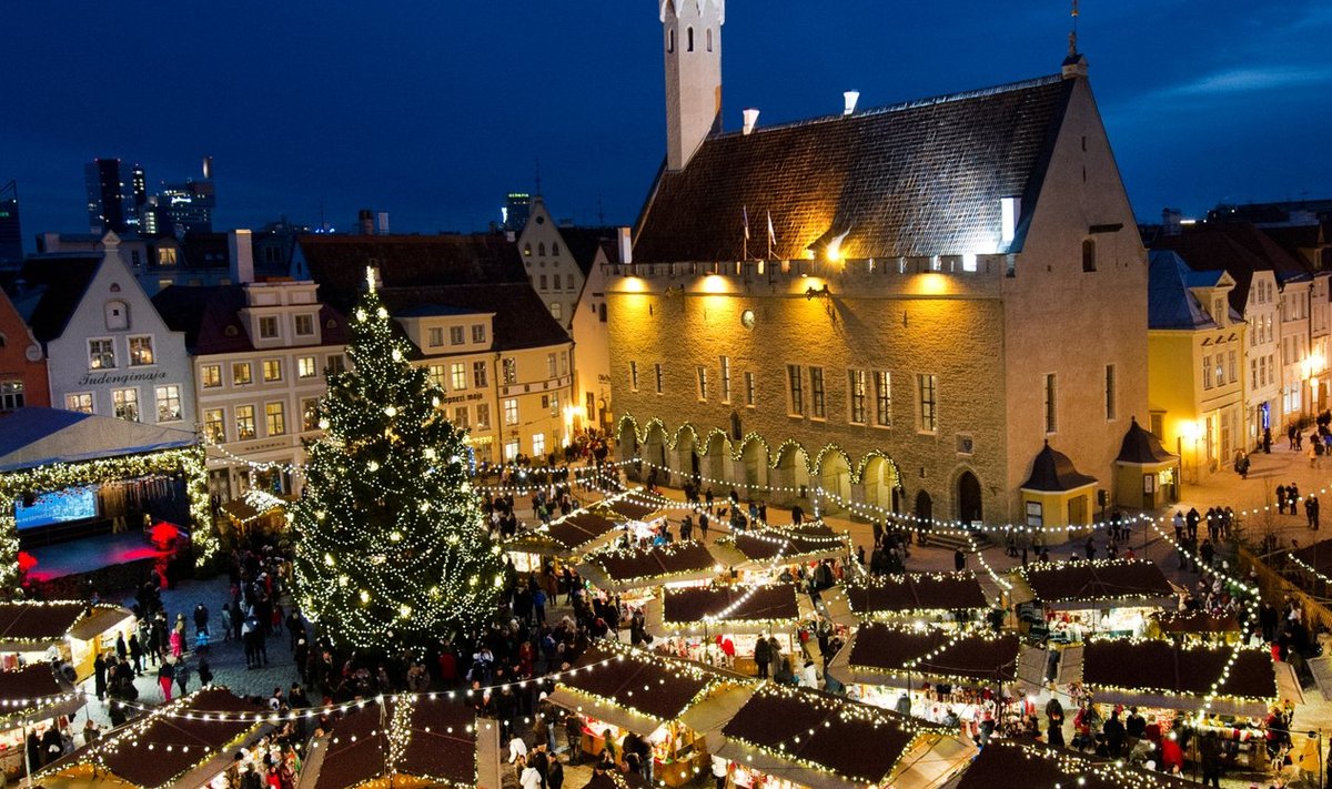 Tallinna mullune jõulupuu oli tore, ent tänavune tuleb palju uhkem