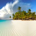 ВИДЕО против весеннего авитаминоза! Кого путешественники из Эстонии повстречали в водах у Мальдивских островов