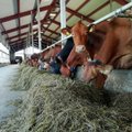 Kriisiaeg nõuab loomakasvatajalt täpset silma