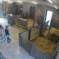 FOTOD: Noormees varastas Tallinnas laste loomaaiast musta küülikupoja