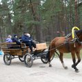 31 марта в Эстонском музее под открытым небом пройдут пасхальные гуляния