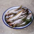 RETSEPTID | Mida maitsvat valmistada varakevadisest söögikalast meritindist?