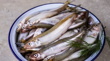 RETSEPTID | Mida maitsvat valmistada varakevadisest söögikalast meritindist?