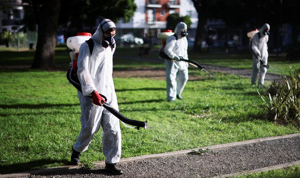 Töötajad tõrjumas sääski pärast dengue’i palaviku juhtumite sagenemist Argentiinas