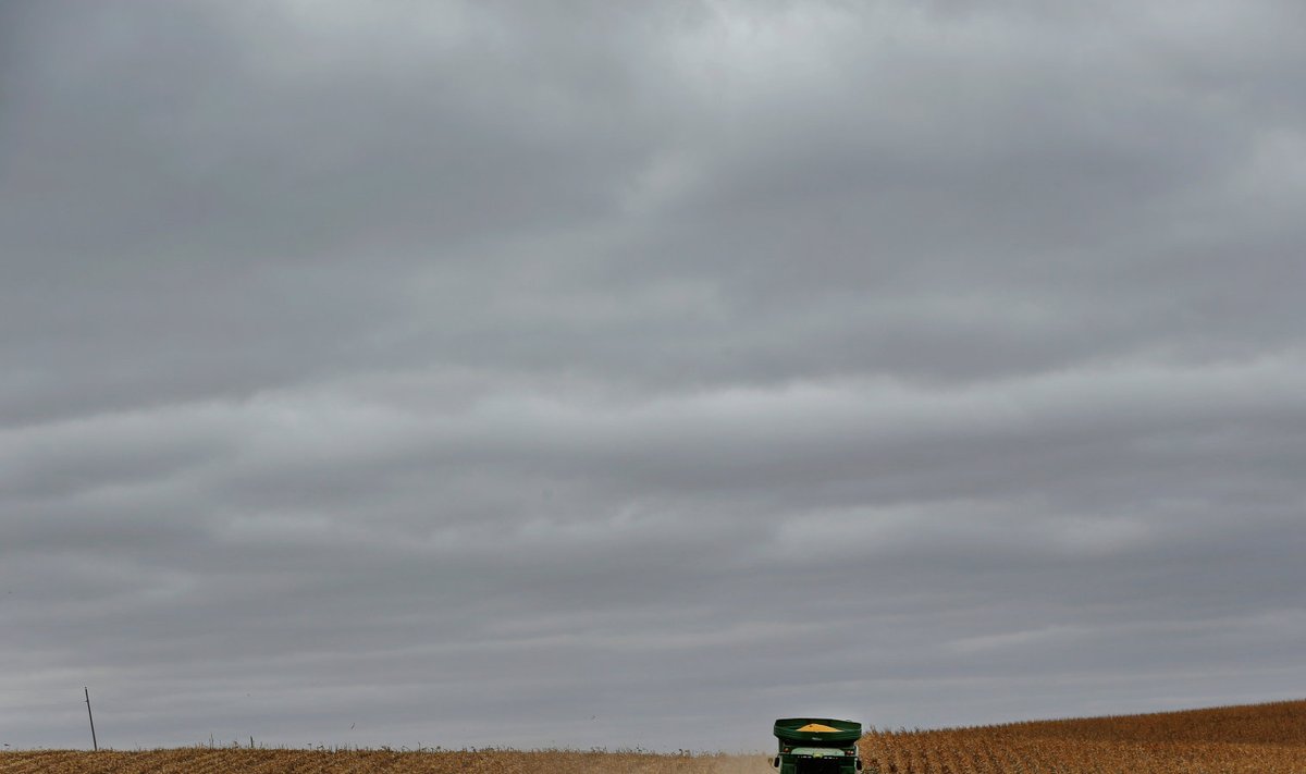 Farmer USA-s Nebraska osariigis kombainiga maisi koristamas. 