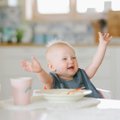 Tahad võimaldada oma beebile parimat toitu? Uued vitamiinidest pungil beebipüreed aitavad selle eest hoolt kanda!