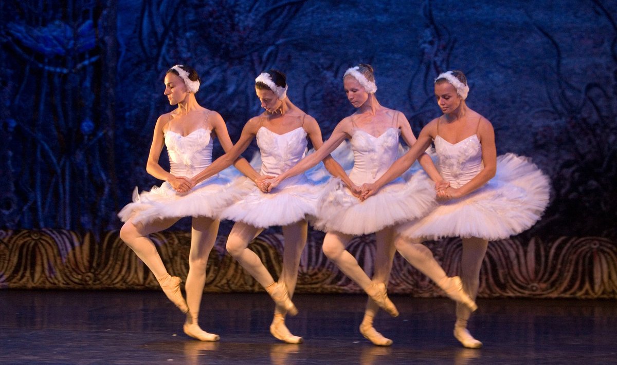 Vene Keiserlik Ballett tantsimas Tšaikovski "Luikede järve" Birgitta festivalil. "Eurooplaste" üks peategelane, kirjanik Ivan Turgenev pidas Pjotr Tšaikovskit suureks kunstnikuks, sest tema venepärasus ei olnud vaenujalal euroopalikkusega.