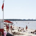 ФОТО: На большинстве пляжей Таллинна из-за ядовитых водорослей купаться нельзя. Но людям все равно