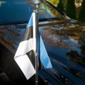 Ülevaade Eesti vabariigi aastapäeva tähistamisest Tartus